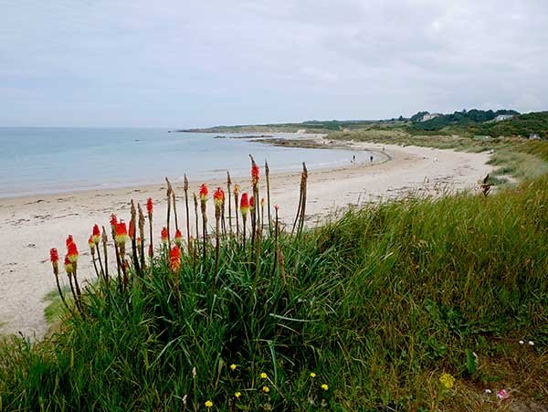 Hopeman East Beach