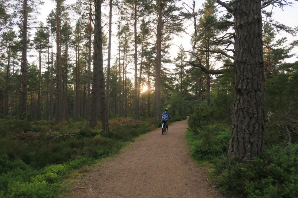 Cycle Path Rothiemurchus