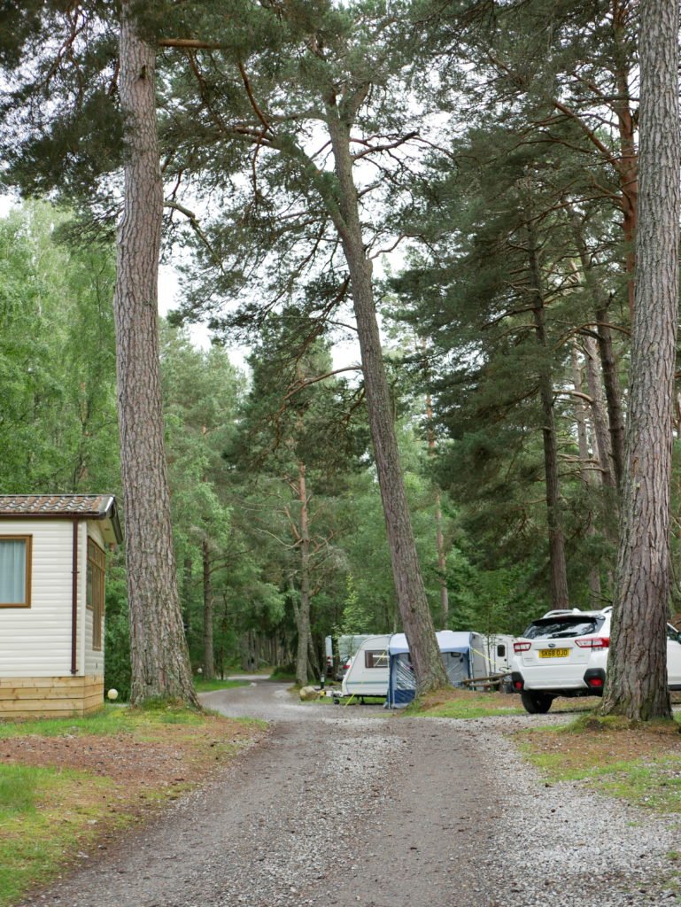 Rothiemurchus Campsite