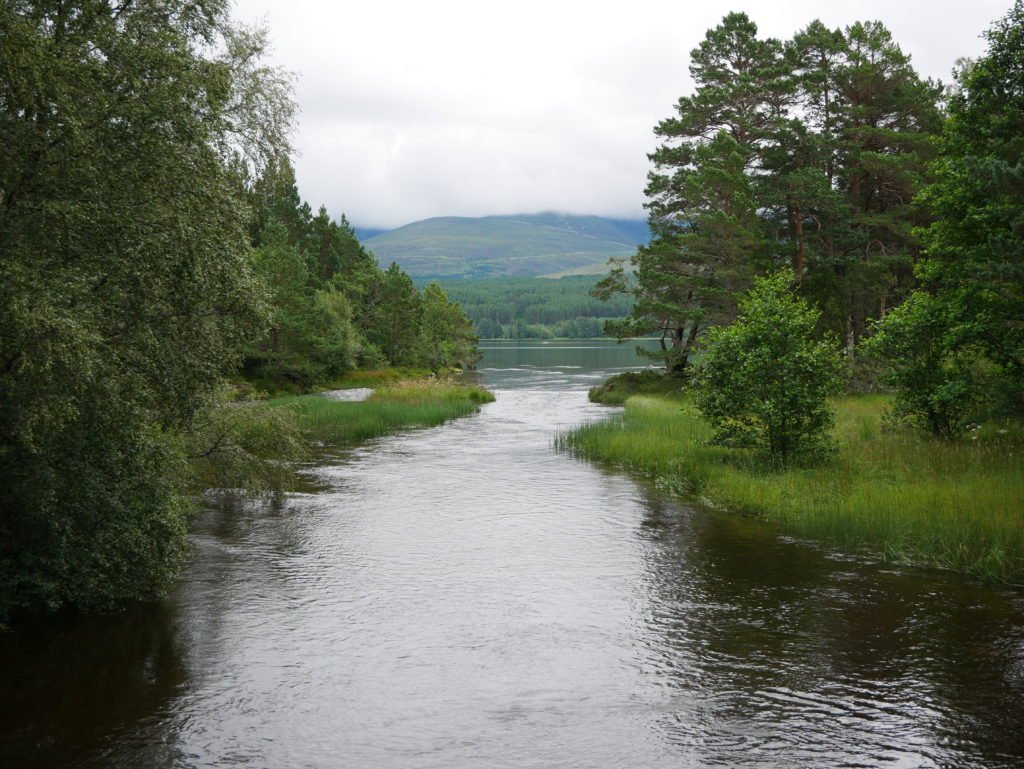 Loch Morlich